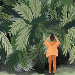 盛艺涵 头像
